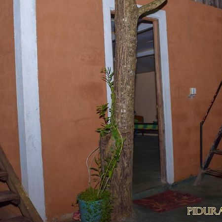 Pidurangala Hostel Sigiriya Luaran gambar
